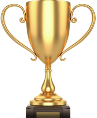 toppng.com-gold-trophy-png-542x660